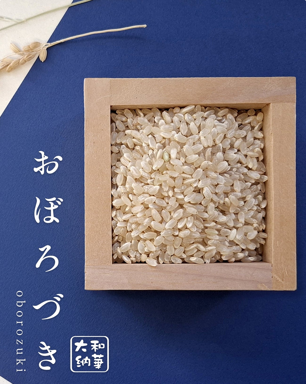 おぼろづき（玄米 or 三分づき）